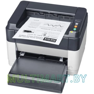 Принтер Kyocera Mita FS-1060DN картинка 3